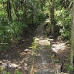 trail_mandicocha_la_v_0295_ecu1010.jpg